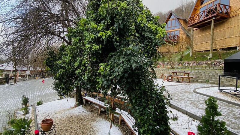 Sapanca Şifah Bungalov
