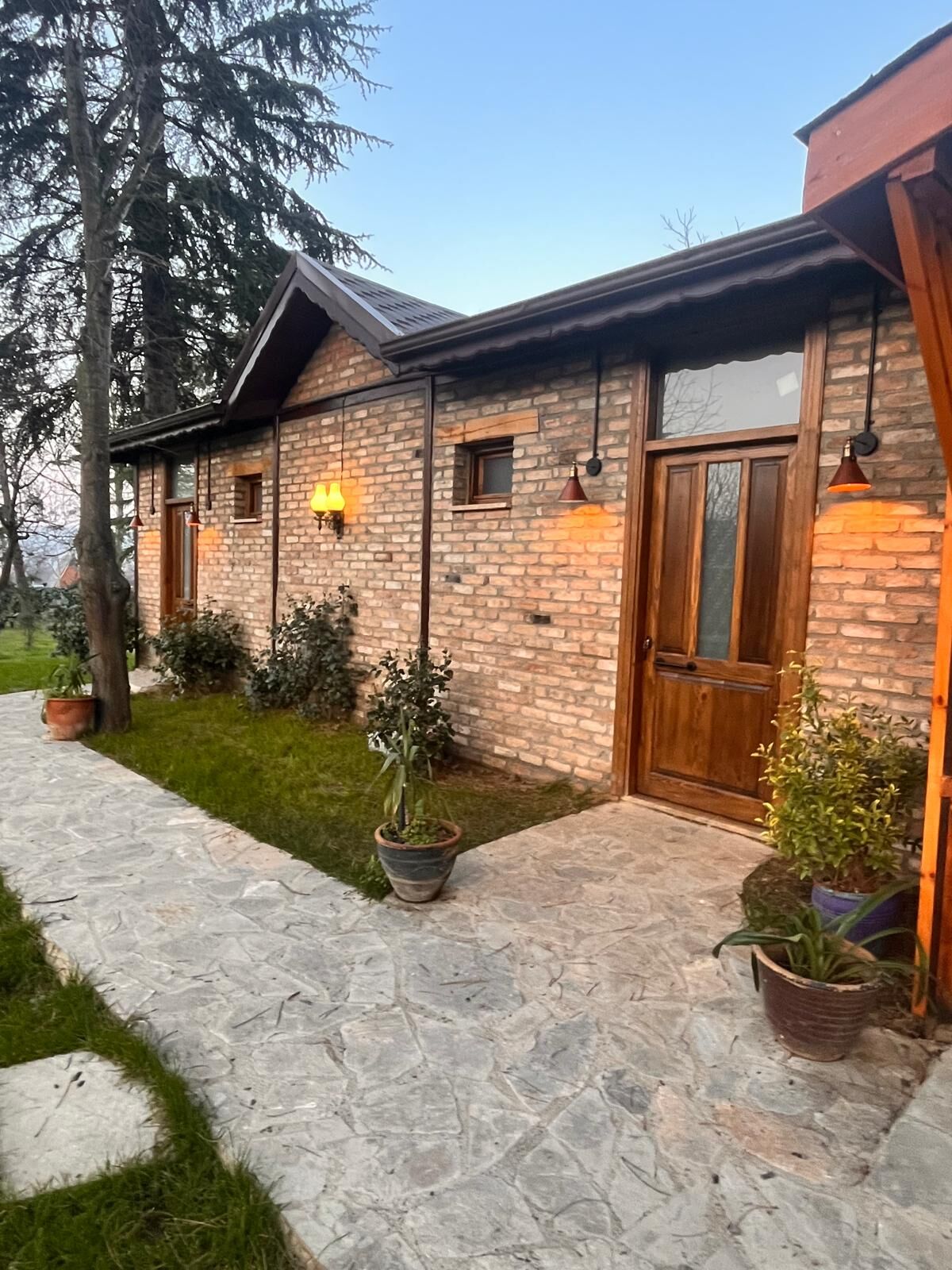 Sapanca Elm2